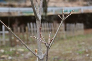 img_5032